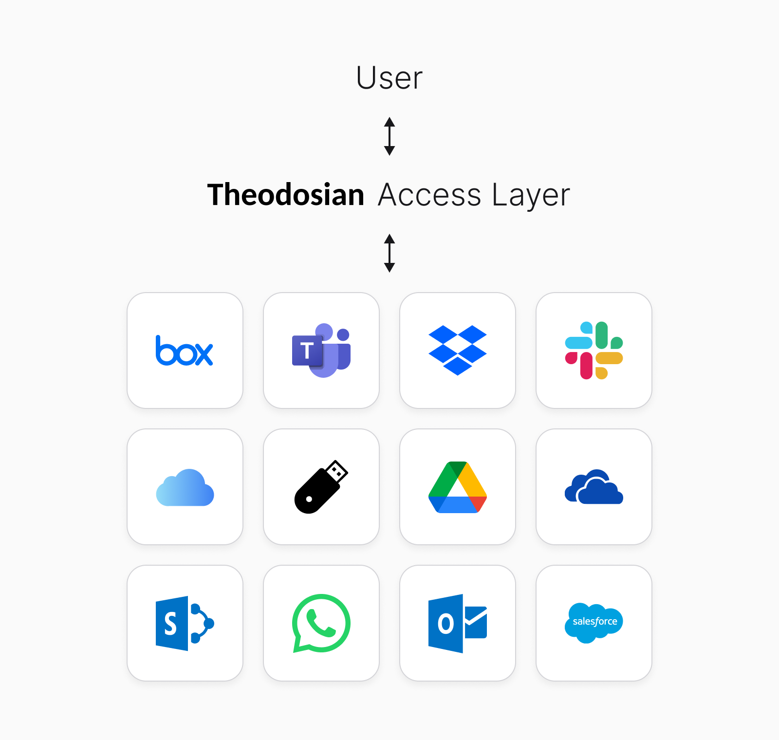 theodosiana access layer